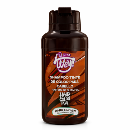 Shampoo Dual Con Tinte Express Cubre Canas 500ml